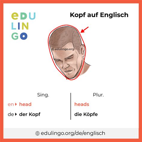 kopf auf englisch